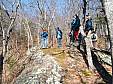snakeden_033008_08.JPG