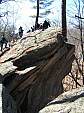 snakeden_033008_10.JPG