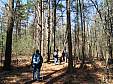 snakeden_033008_22.JPG