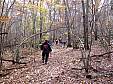 IMG_0230.jpg