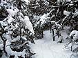 18_welch snow.JPG