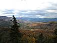 Oct1506_Welsh Dickey4.JPG