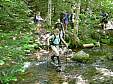 DSCN0097.JPG