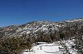 _DSC2267.jpg