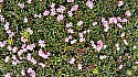 20150606_110621amc.jpg