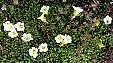20150606_110658amc.jpg