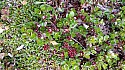 20150606_133117amc.jpg