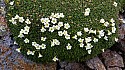 20150606_134302amc.jpg