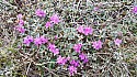 20150606_143610amc.jpg