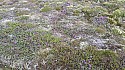 20150606_143805amc.jpg