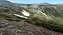 20150606_144216amc.jpg