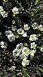 20150606_172456amc.jpg
