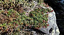 20150607_092731amc.jpg