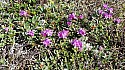20150607_095705amc.jpg