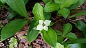 20150607_143332amc.jpg