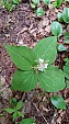 20150607_143443amc.jpg