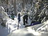 06WWSnowshoeBend.JPG