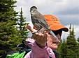 0198-Shelley with bird in hand.JPG