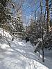 IMG_0311.JPG