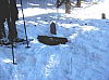 1A Trail Finding.jpg