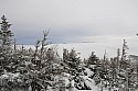 _DSC4260.jpg