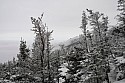 _DSC4261.jpg