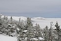 _DSC4268.jpg