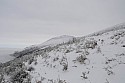 _DSC4278.jpg