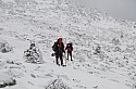 _DSC4308.jpg