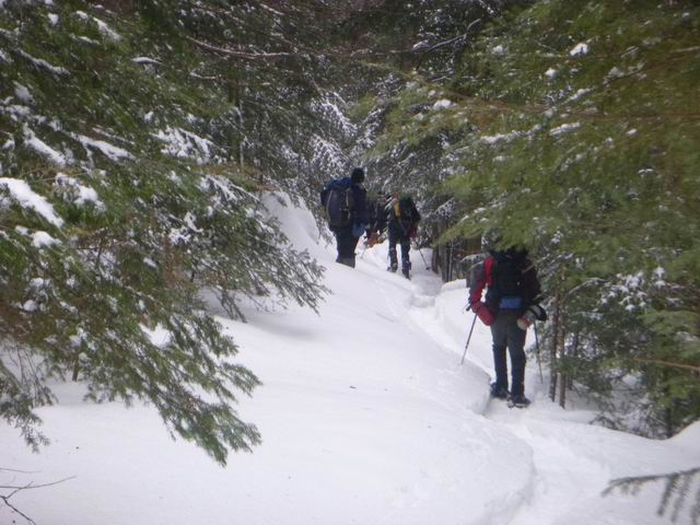P1000087.JPG