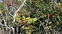 20151003_112329.jpg
