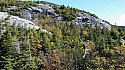 20151003_114038.jpg
