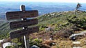 20151003_155252.jpg