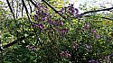 20151004_110825.jpg