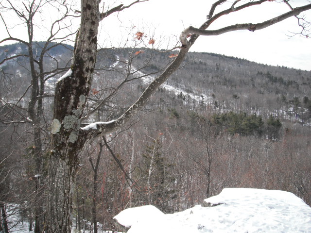 DSCF0015.JPG