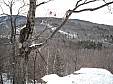 DSCF0015.JPG