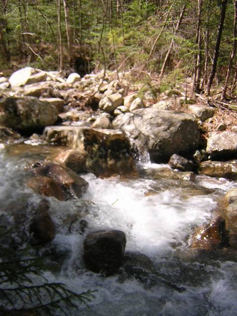 009%20Gale%20River%20trib.jpg