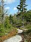 032%20Lend-a-hand%20Trail.jpg