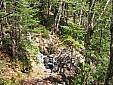 033%20Hale%20Brook%20Trail.jpg