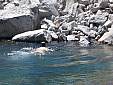 IMG_0488.JPG