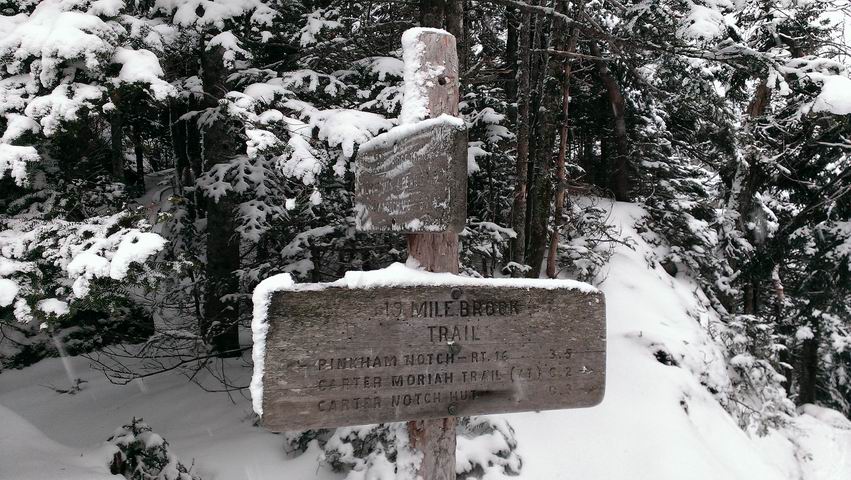IMAG2091.jpg