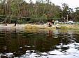PA220033.JPG