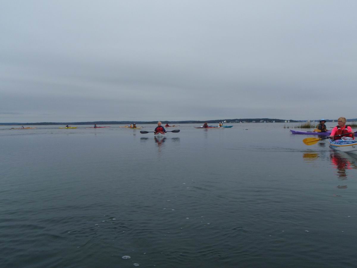 PA050318.JPG