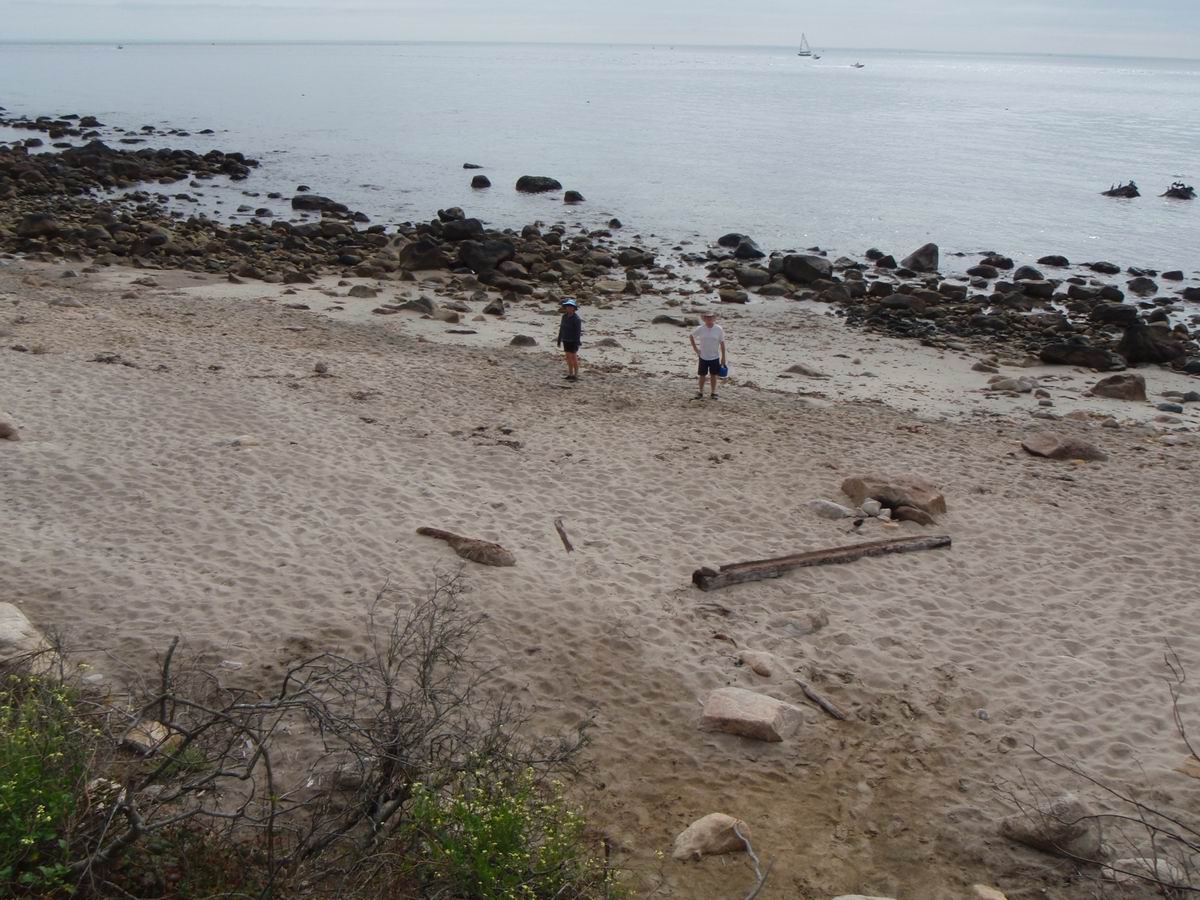 PA050348.jpg
