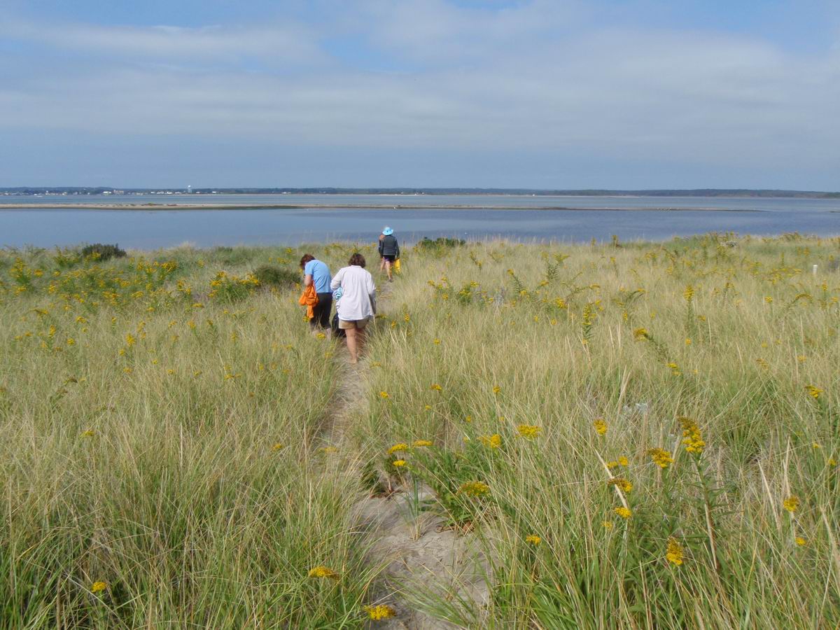 PA050356.JPG