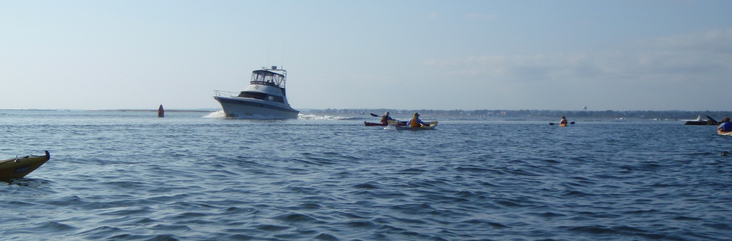PA050378.jpg