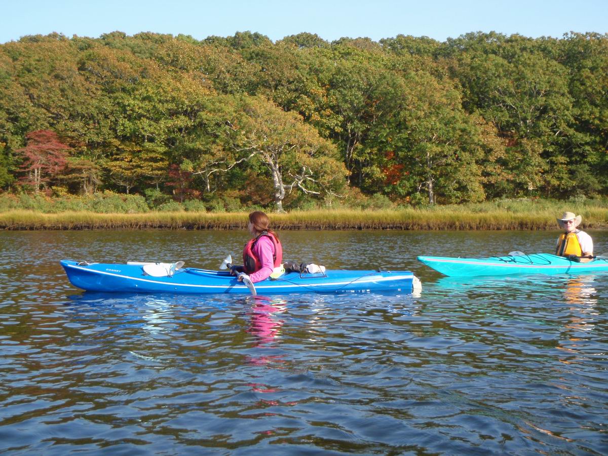 PA050379.JPG