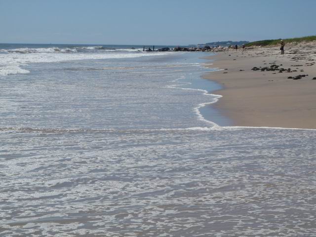 P9070147.JPG