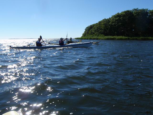P9070173.JPG