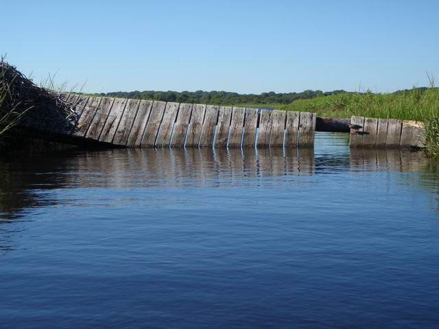 P9070184.JPG
